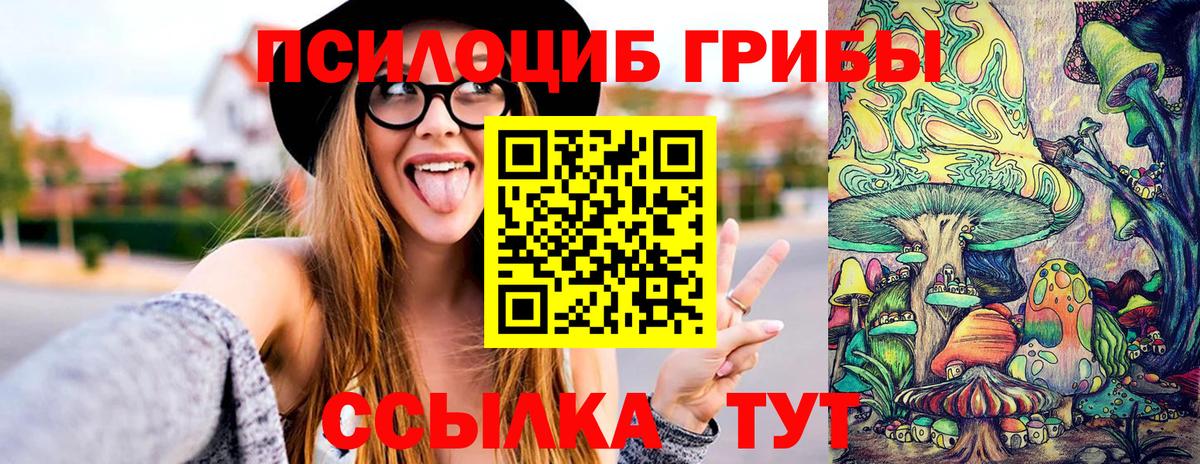 Вичуга  Псилоцибиновые грибы Psilocybe  Вход с VPN  Галлюциногенные грибы ЛСД 